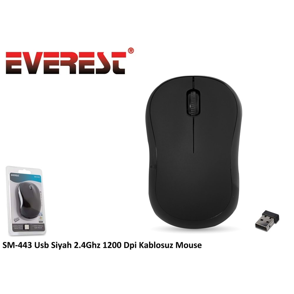Everest SM-443 Siyah Kablosuz Mouse