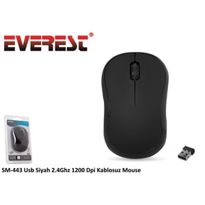 Everest SM-443 Siyah Kablosuz Mouse