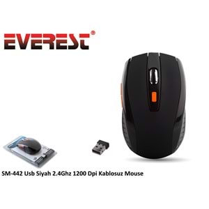 Everest SM-442 Siyah Kablosuz Mouse